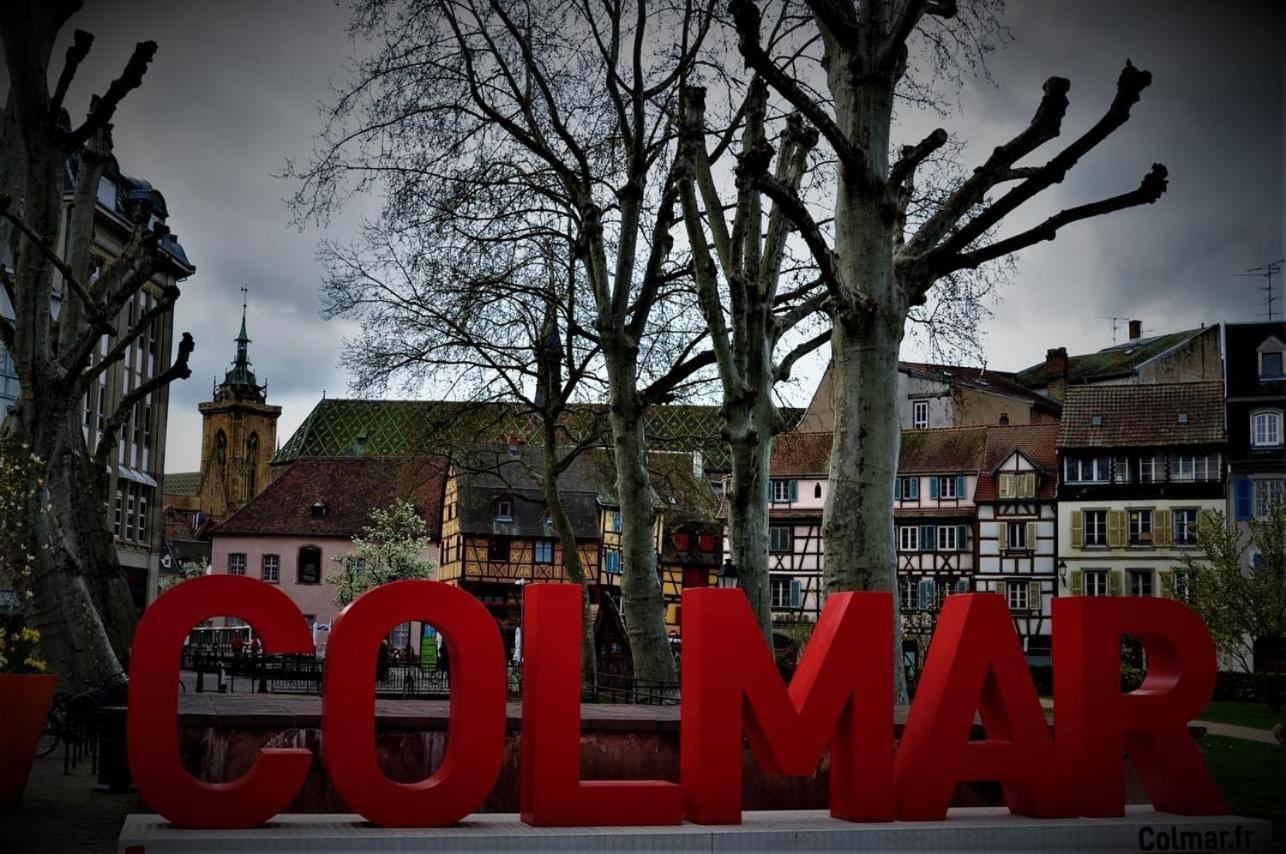 Charmant Appartement Cosy Porte De Colmar Sainte-Croix-en-Plaine Экстерьер фото
